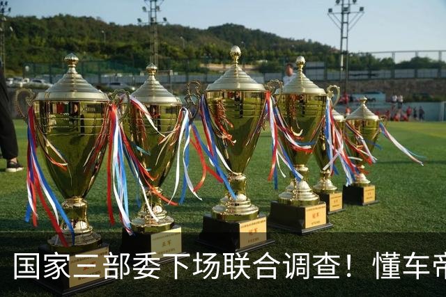 国家三部委下场联合调查！懂车帝和尊界V800这一波，我又判断准了
